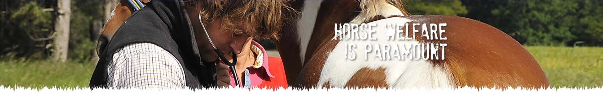 What is endurance riding?